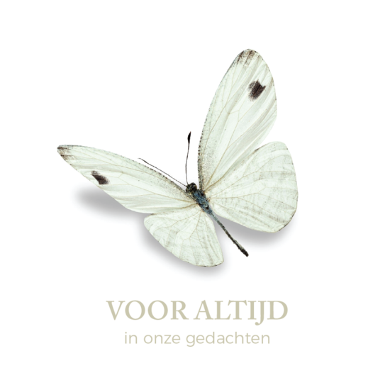Sluitzegel Rouw 08