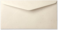 envelop-van-tulpenbollenpapier