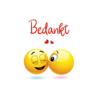 Sluitzegel bedankt 13