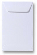 witte-envelop-langwerpig-12,5-x-31,2-cm