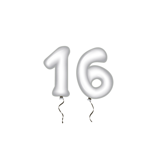 Sluitzegel verjaardag 51